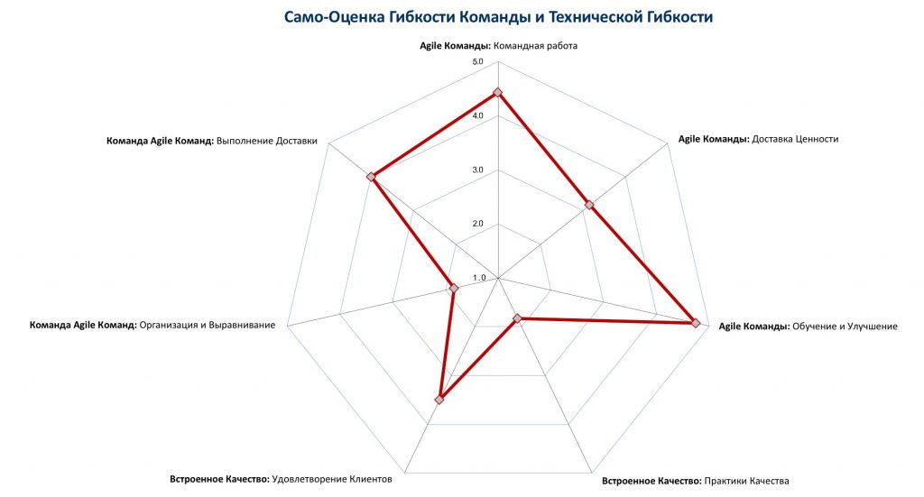 Отчет из оценки компетенции «Командная и Техническая гибкость»